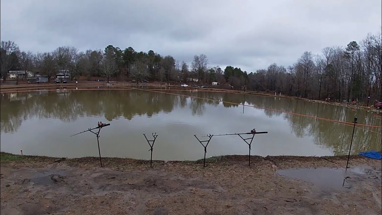 CARP FISHING AT COLES CARP AND CATFISH LAKE YouTube