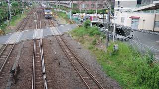貨物列車 66レ EF66-27 2019/06/23 渡田踏切俯瞰