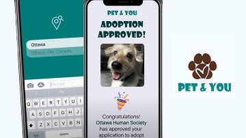 Pet & You Adoption App [Mobile App Concept]