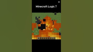 Minecraft Netherite Sword Logic...🤪