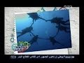 #حكومة_نص_الليل تأثير سياحة الغوص على
