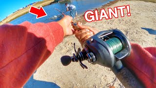 We caught a GIANT in the TRINITY RIVER (Fort Worth) NEW SPECIES! Bank Fishing