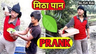 nepali prank - mitha paan /मिठा पान || funny/comedy prank || alish rai new prank video ||