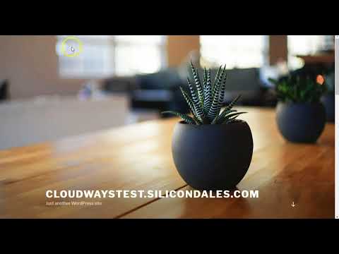 Cloudways setup domain and add SSL certificate