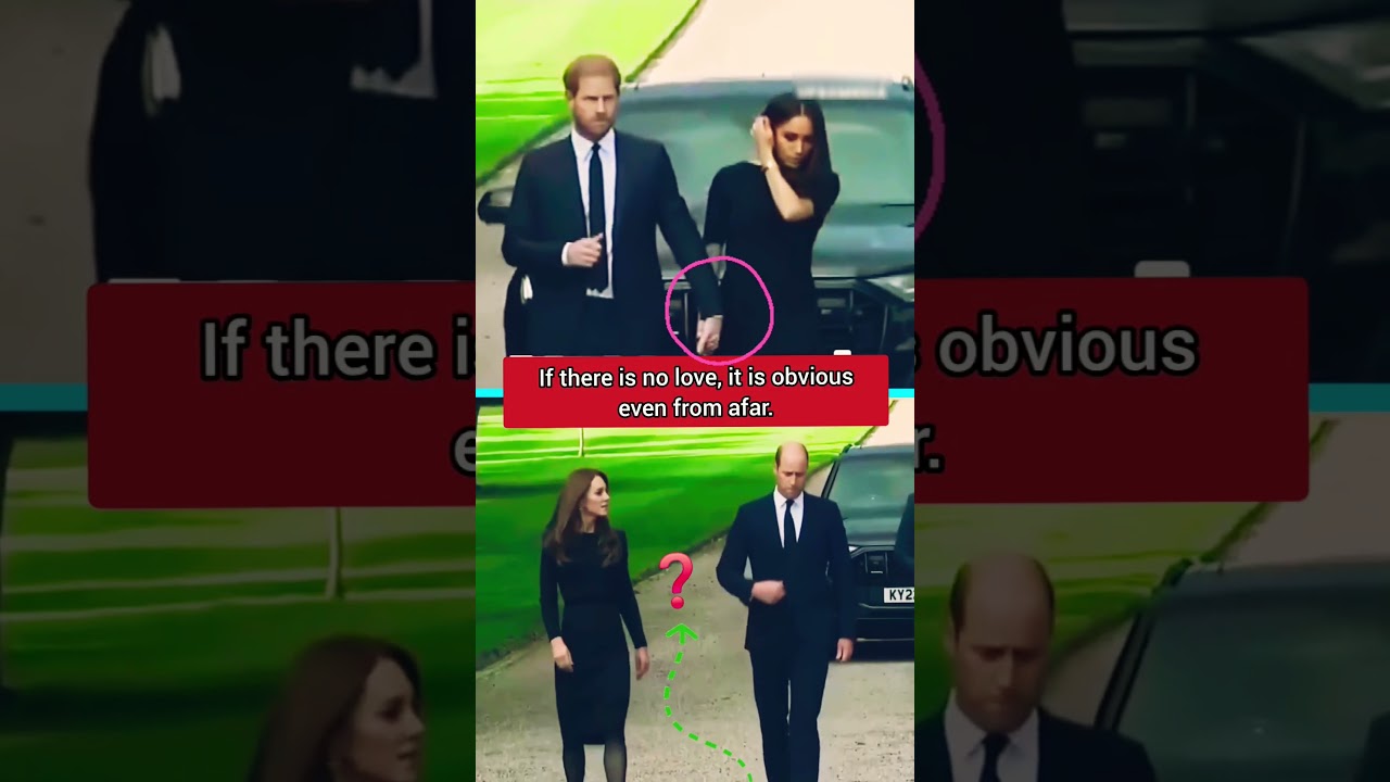 One Simple Move Revealed the Chill Between Prince William and Kate! 💔