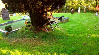 An Ancient Irish Graveyard, 4K Errew Graveyard Carigallen County Leitrim Ireland