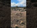 Natural beauty abounds at the Riley Ranch Nature Reserve #bendoregon #rileyreserve #highdesert #sage