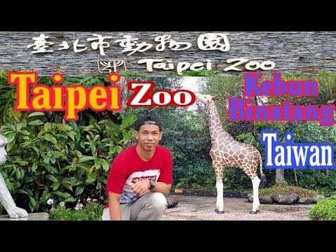 Video: Panduan Pengunjung Kebun Binatang Taipei