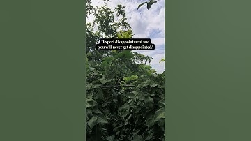 Why Expecting Disappointment Protects You From Pain.