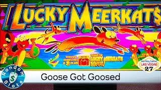 Lucky Meerkat$ Slot Machine in the Longhorn screenshot 3