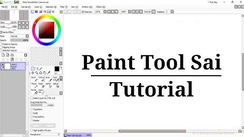 【Tutorial】How to easily add color in Paint Tool Sai Tutorial