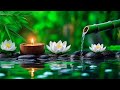 [100% No Ads] Let Go of Stress and Sink Into Deep Relaxing Music - Meditation, Fall Asleep Fast