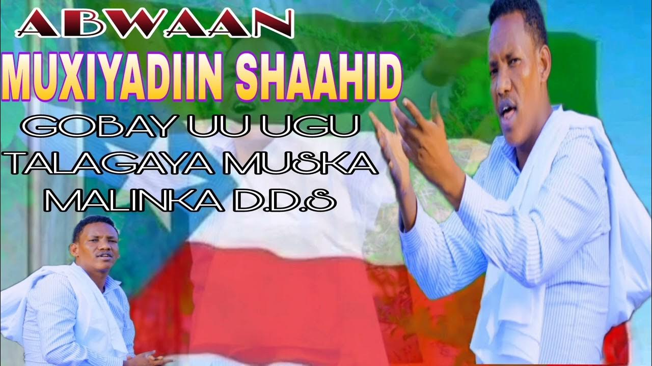 Porno tomosha qiling: joja ulkan xorozni yutib yuboradi