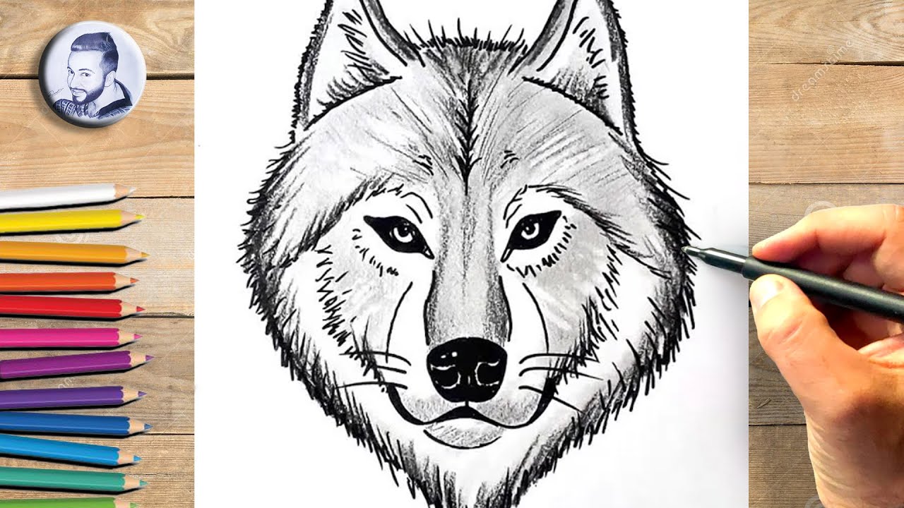 Comment Dessiner Une Tete De Loup Facilement Easy Drawings Dibujos ...