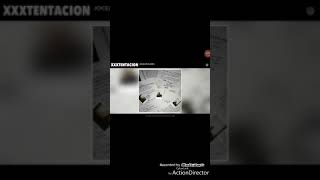 XXXTENTACION. Jocerlyn Flores backwards//secret message about his death Wealth