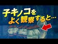 ダークソウルの小ネタ集 #1