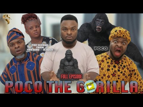 AFRICAN HOME: POCO THE GORILLA (FULL EPISODE)