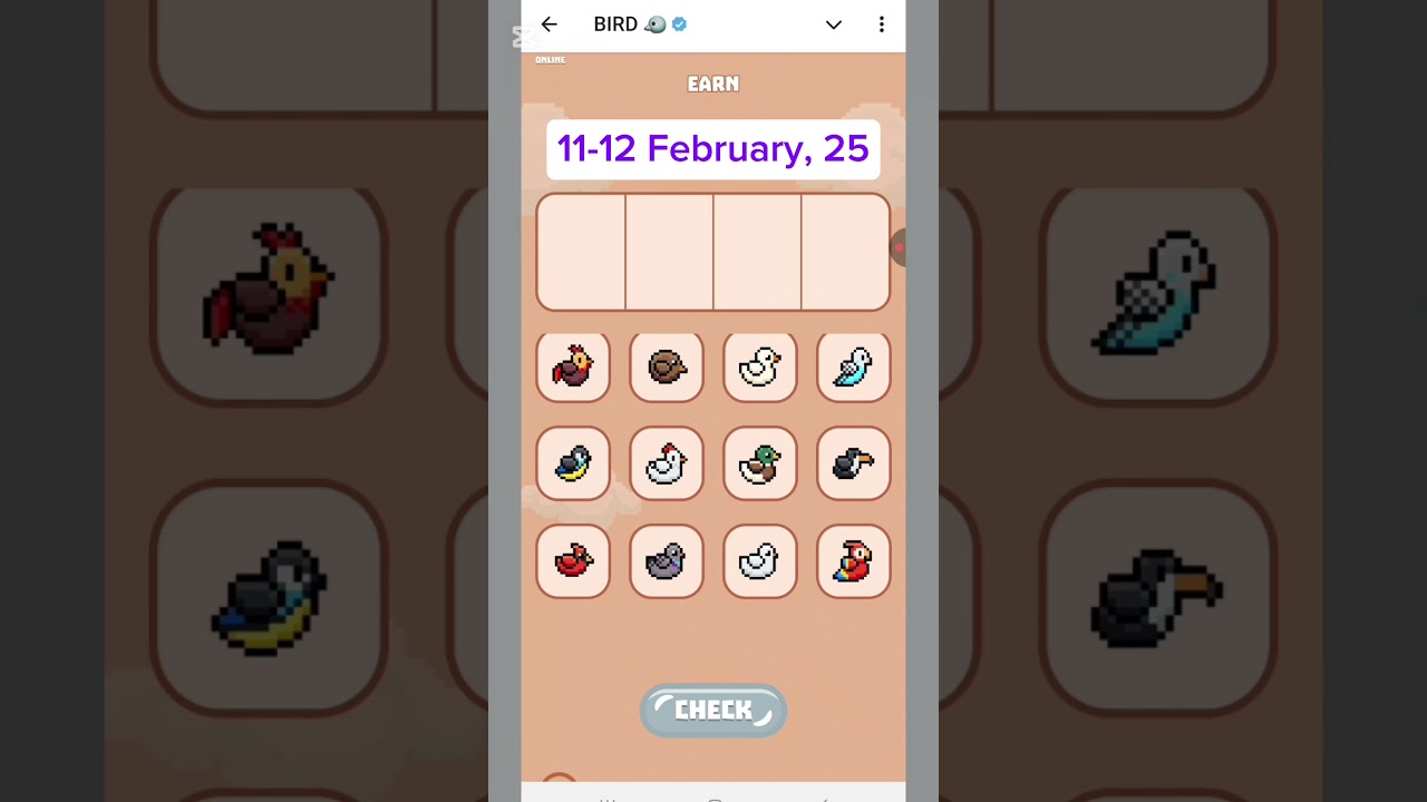 Birdton daily combo | 11 February | Bird ton daily combo cards video |