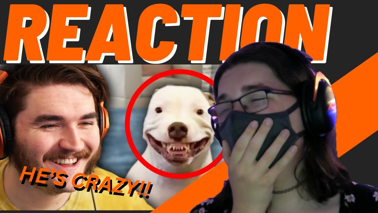 Schlatt found the WEIRDEST videos!! | Ranking Your INSANE Tiktoks reaction