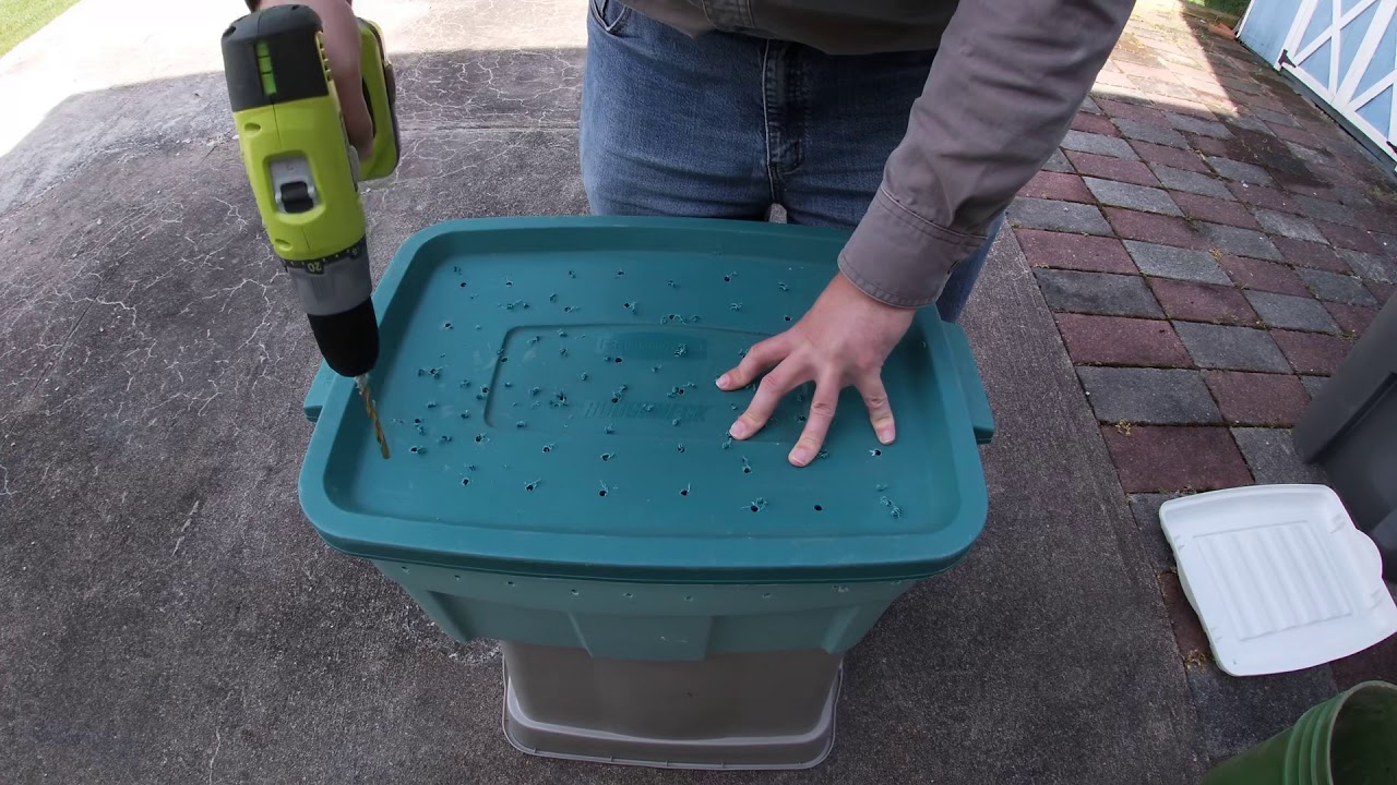 Starting A Bin with red wigglers YouTube