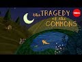 What is the tragedy of the commons  nicholas amendolare