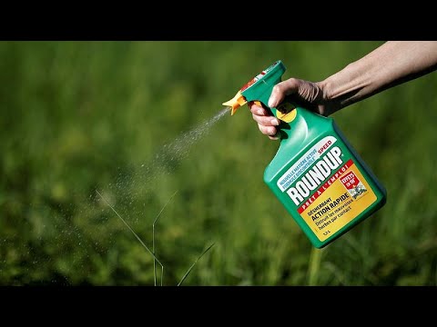 EU approval procedure for pesticides to become more transparent