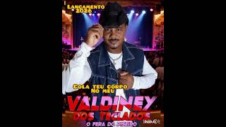 Valdiney dos teclados 