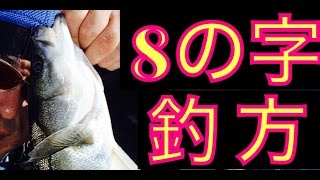 【驚愕の０距離ルアーフィッシング】シーバス８の字釣方【ASURA O.S.P VARUNA 110 SP】