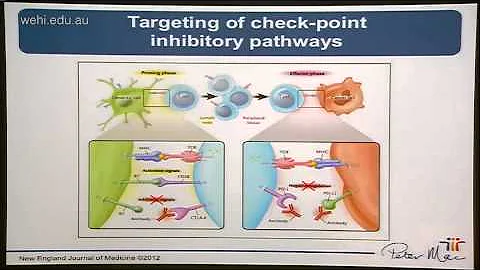 Haynes N (2014): Cancer microenvironment and immunity - lessons for immunotherapy