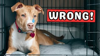 9 Ways You Are HURTING Your Dog Without Realizing It 😔