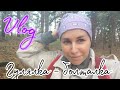 VLOG😌Гулялка по лесу, болталка об ароматах🌸природа, ищем грибы🐿