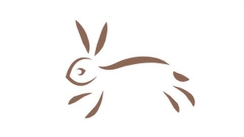 Bunny Hop Cycle (Realistic)