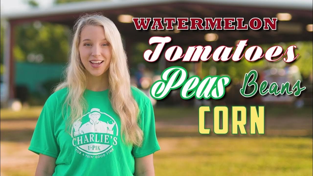 A Day at Charlie's UPik Lucedale & Wiggins' Premier UPick Experience