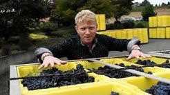 Oregon Wine Vintage Review 2013, 2014, 2015 Harvest 2017