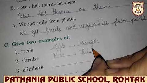 Pathania World Campus- Class 1-Evs Ch-14 Worksheet