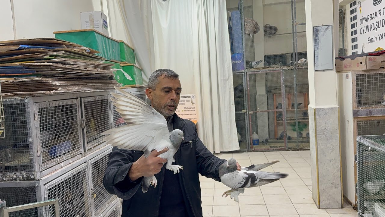 Bu Akşam Efsane Kuşlarla 20:30 da Yayındayız 🌹👋