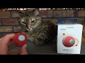 Cheerble ball first look  kickstarter cat toy