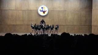 Ehs saltatrix saltigold2016-17