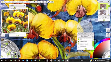 ArtRage Tutorial on Watercolor Brushes and Overlay Blend Mode to Add Texture