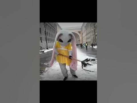 дворник в костюме зайца #shorts - YouTube