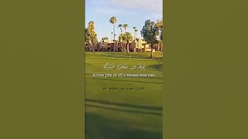 الله نور السماوات والأرض، تلاوة عذبة من سورة النور بصوت القارئ أحمد جيد حفظه الله.