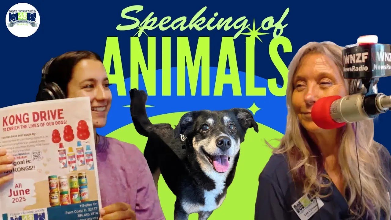 Speaking Of Animals - Tilly, Teens & Tiny Tigers🐈🐾: Big Hearts at the Flagler Humane Society