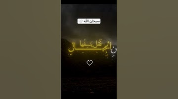 سبحان الله 🤍#صوت_جميل #رح_سمعك #تلاوة_خاشعة #viral #religion #explore #goneviral #foryou#viral #fyp