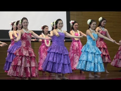 同志社大学フラサークル Meahula Nohealani　4K