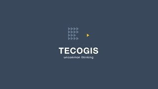 TECOGIS - Uncommon Thinking