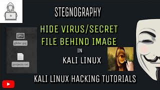 Stegnography ( Steghide )