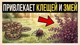 15 Растений, Которые Тайно Привлекают Змей и Клещей (Удалите Немедленно)