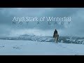 (GoT) Arya Stark of Winterfell - Not a Lady