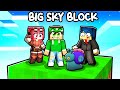 IL MIO PIANO FINALE PER VINCERE  su MINECRAFT! - BIG SKYBLOCK