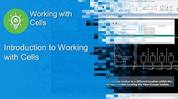 Introduction to Working with Cells